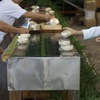 下鴨神社　みたらし祭り　朝６時