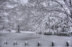 『与野公園　雪景色①』 