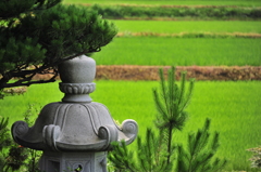 『田舎』