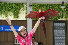 『サンシャイン水族館』