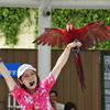 『サンシャイン水族館』