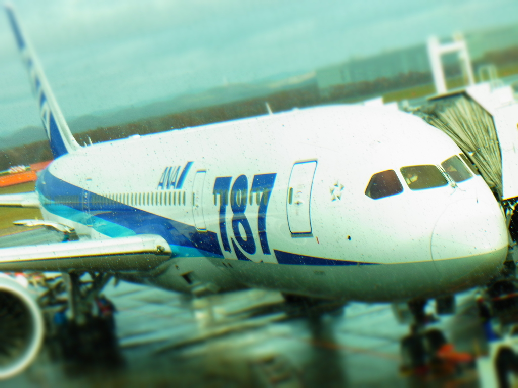 『ANA66便　"Boeing 787 Dreamliner"』