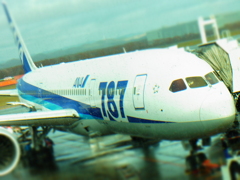 『ANA66便　"Boeing 787 Dreamliner"』