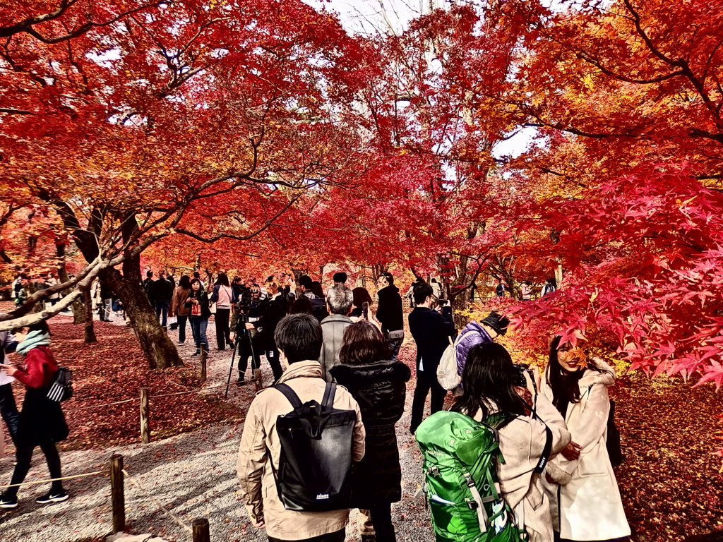 『東福寺』