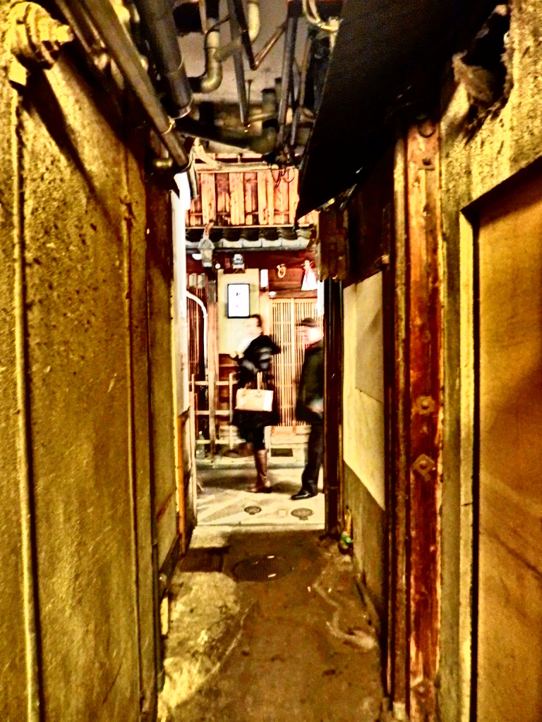『路地裏(先斗町)』