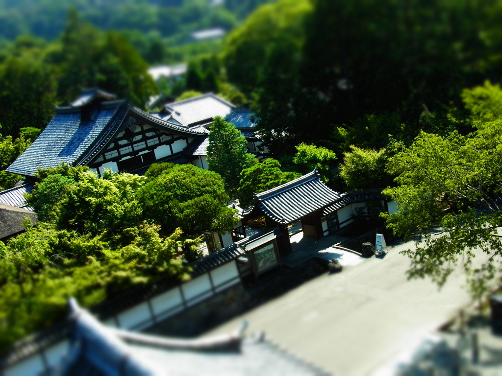 『南禅寺　天授庵（南禅寺塔頭）』