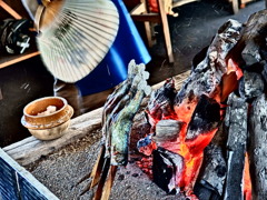 『白根魚苑　炭火焼』