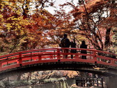 『北野天満宮「史跡　御土居のもみじ苑」』