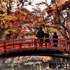 『北野天満宮「史跡　御土居のもみじ苑」』