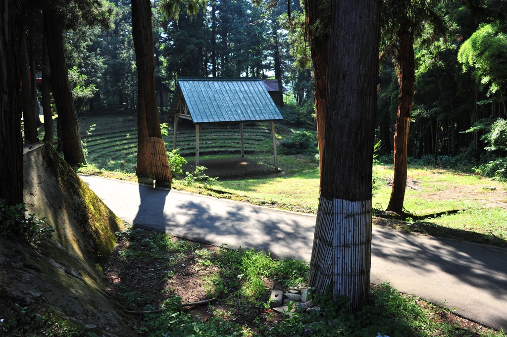 『悠久山　蒼柴の杜』
