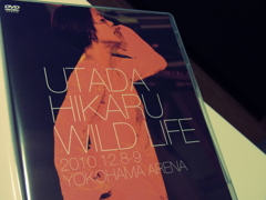 『WILD LIFE [DVD]』