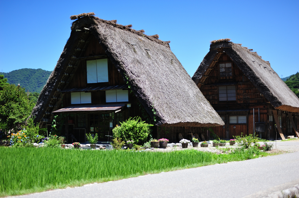  「白川郷　茅葺屋根」