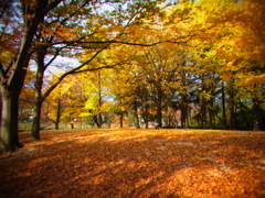 『与野公園』