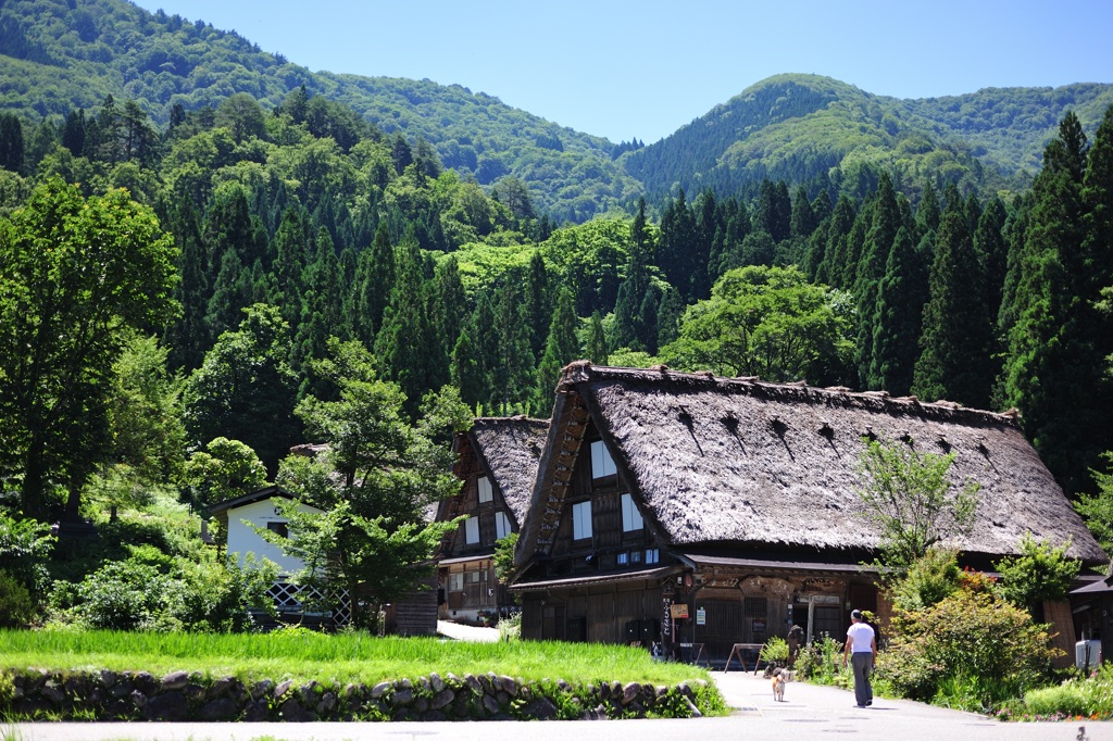 「白川郷　夏」