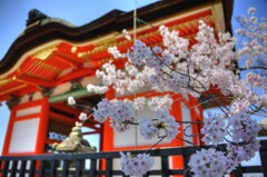 『清水寺 西門』