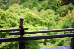 『大悲閣千光寺』