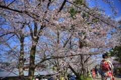 『高台寺公園』