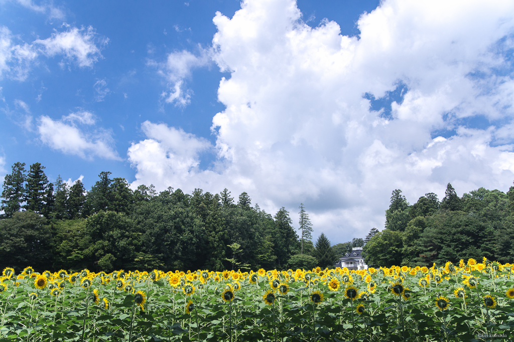 空を仰ぎ見よ