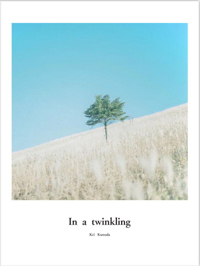 in a twinkling