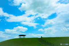 公園