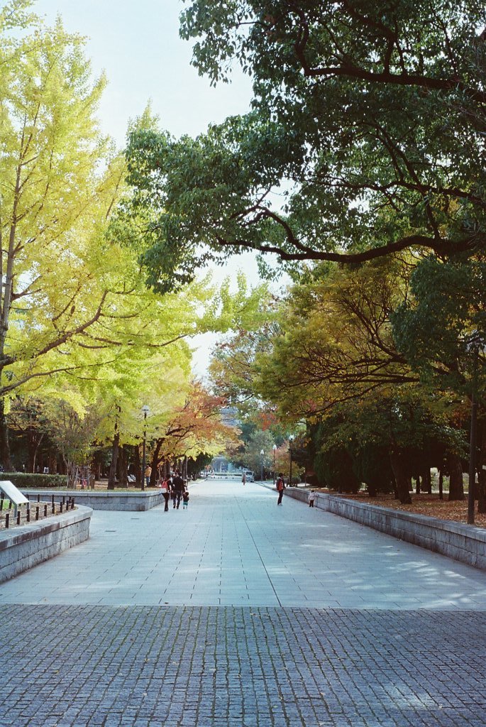 平和公園の秋