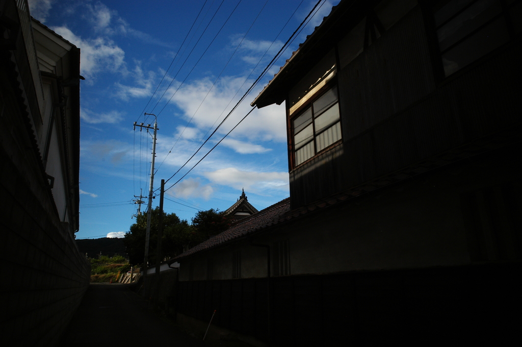 晩夏の青
