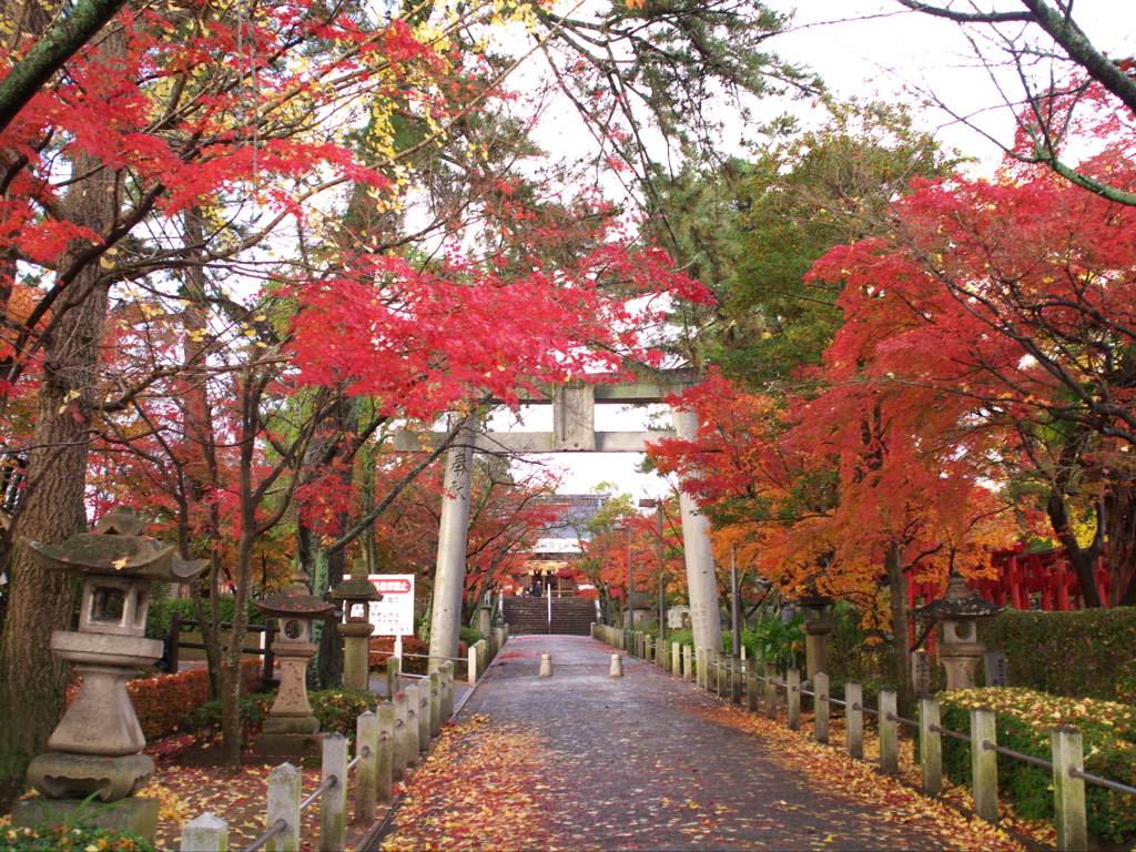 御建神社・参道