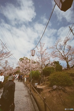 尾道・千光寺公園