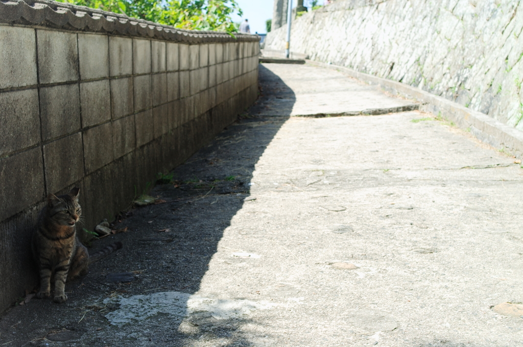 猫町・尾道