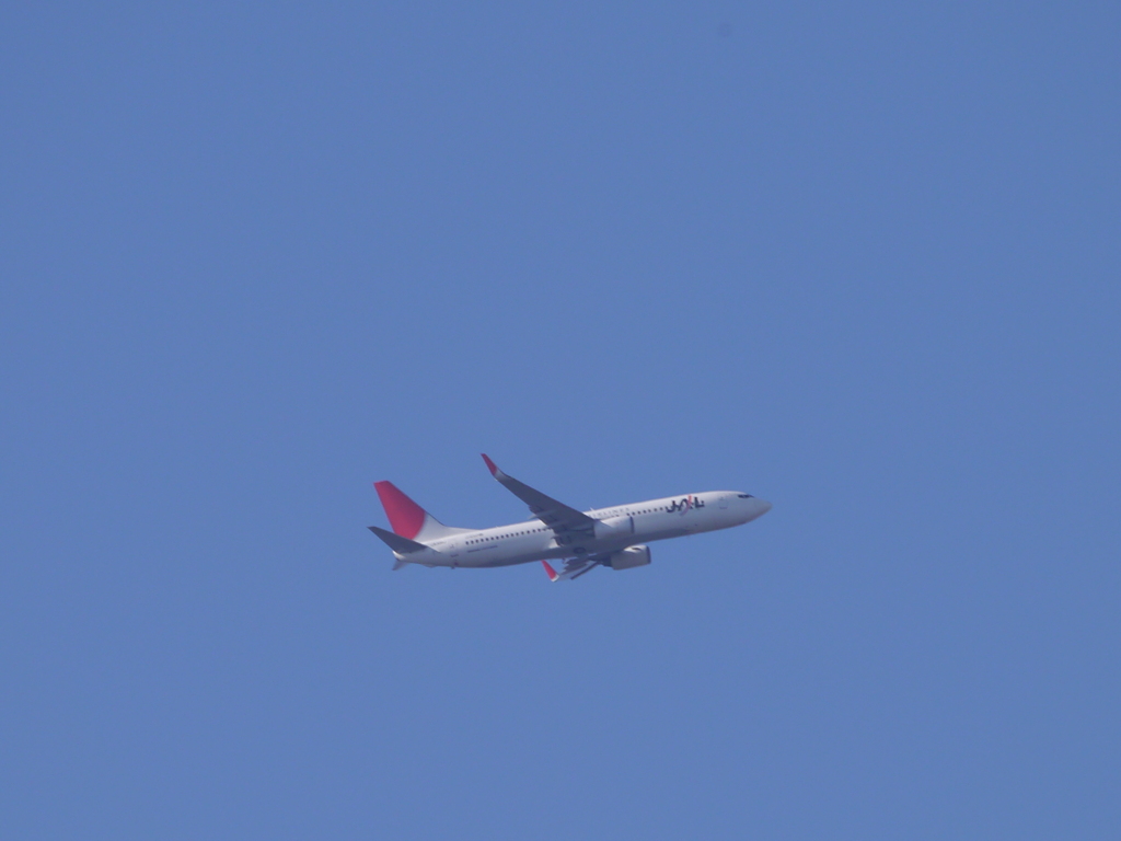 JAL機