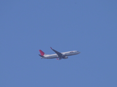 JAL機