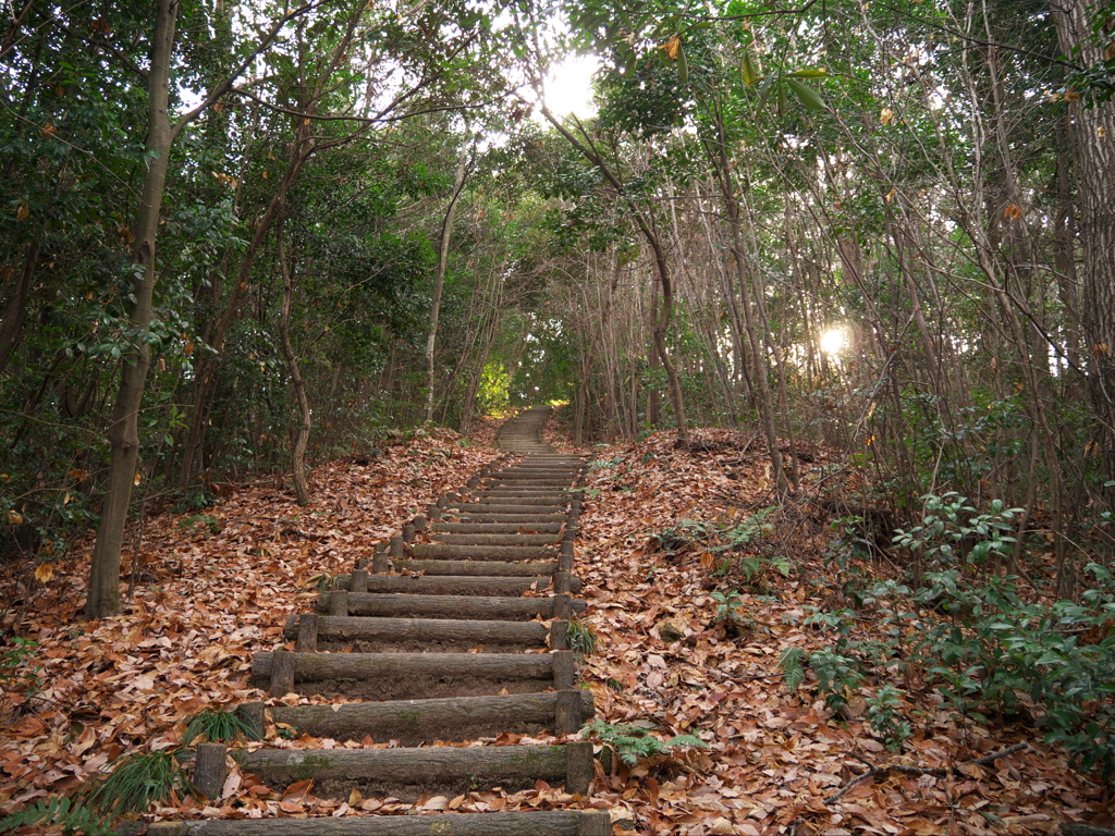 鏡山城跡・登山道