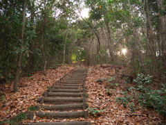 鏡山城跡・登山道