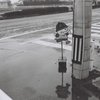 雨のスナップ