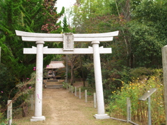 若宮神社・鳥居