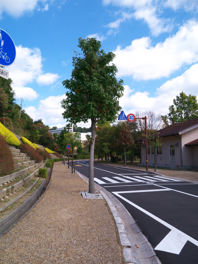 サイエンスパーク・遊歩道