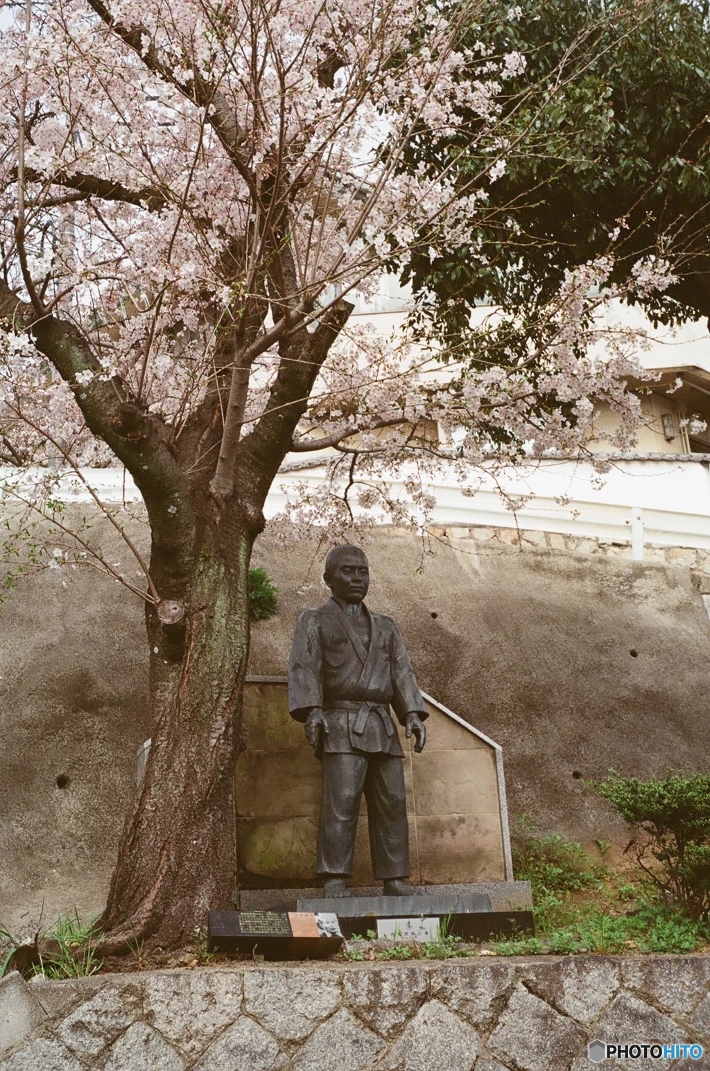 姿三四郎