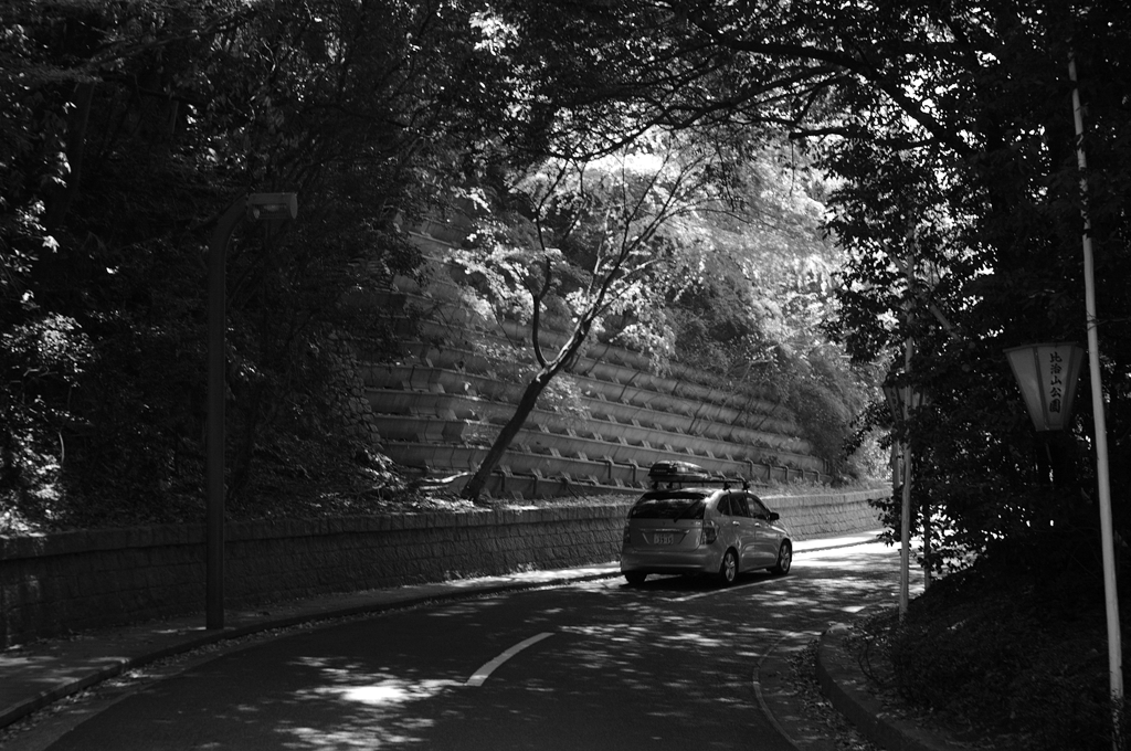 比治山公園散策スナップ