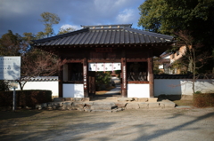 国分寺