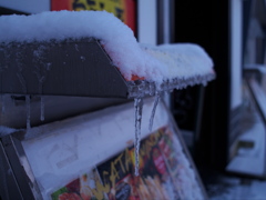 氷柱でカチカチ