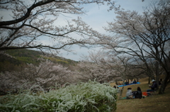 鏡山公園散策スナップ