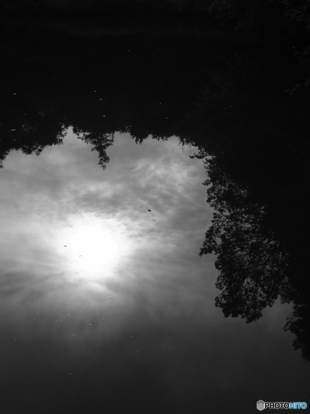 憂鬱な太陽