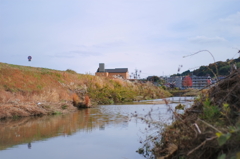 黒瀬川を散歩・川岸から見渡せば