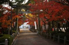 御建神社・参道