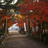御建神社・参道