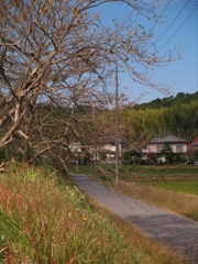 細道
