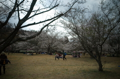 鏡山公園散策スナップ