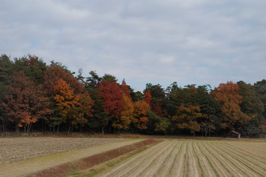 田舎の三原色