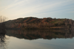 灰色に染まる初冬の鏡山公園