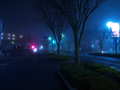 霧の夜を歩く